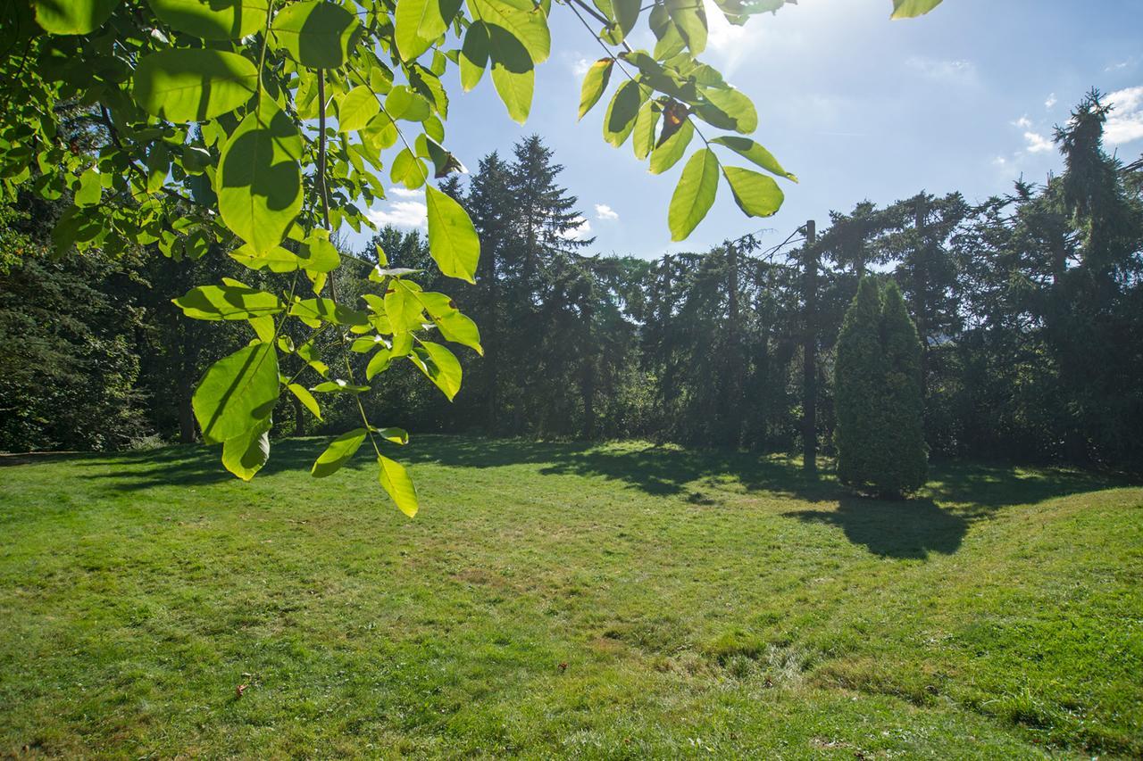 Ferienhaus Faltmann Heimbach Exterior foto